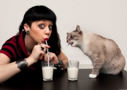 Autoportrait de mon chat Opie et moi buvant du lait